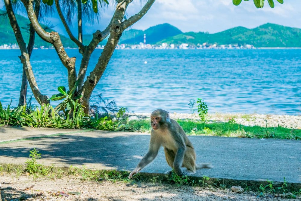 Tour packages, which include transportation, meals, and guided tours, may cost more but are highly convenient for visitors who prefer a hassle-free experience